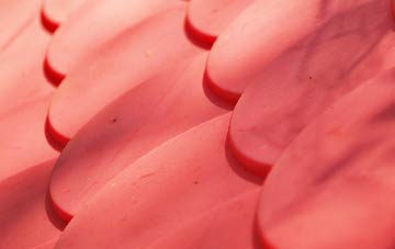 Brereton Heath plastic roof costs